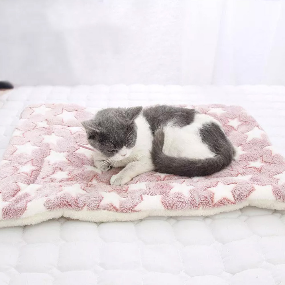 Yo cáustico Referéndum Qué tipo de cama es mejor para un gato? | City Miau